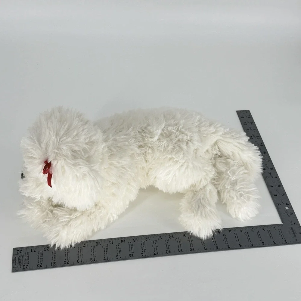 Douglas Marcelle Bichon Frise 22